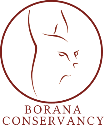 Borana Conservancy logo