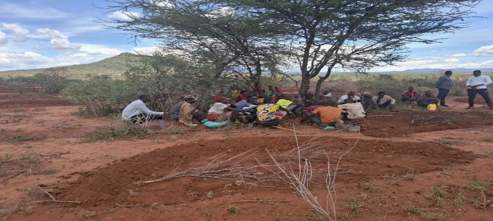 Community members constructing semicircular bunds at Lekurruki Community Conservancy