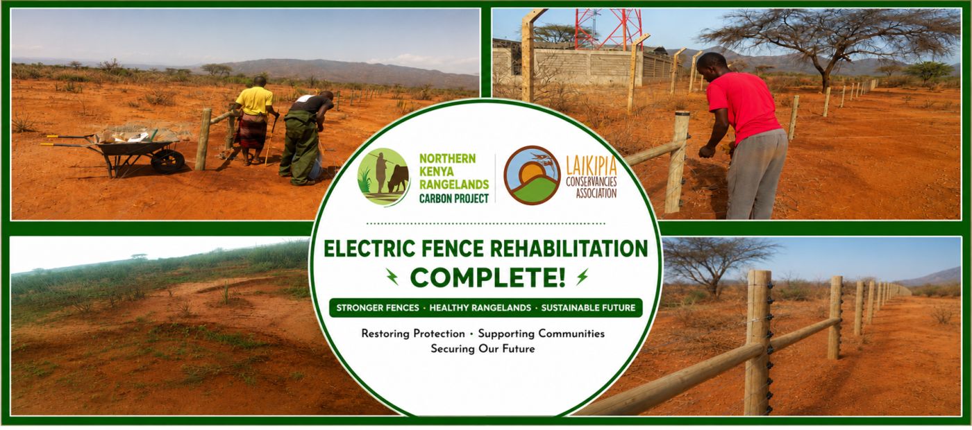 Electric fence rehabilitation complete at Nyongoni Block, Lekurruki Community Conservancy