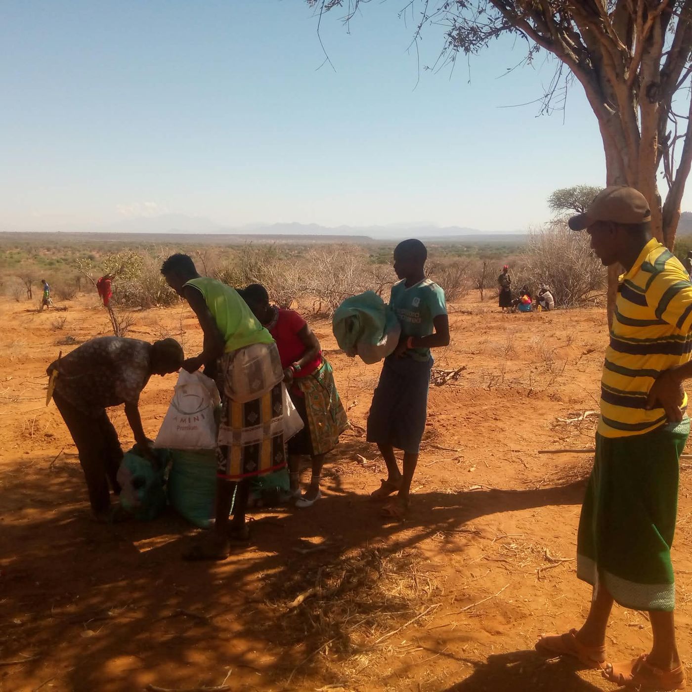 Grass seed being distributed to community members at Tenge Block